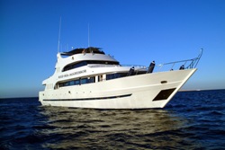 Red Sea Luxury Liveaboard Aggressor